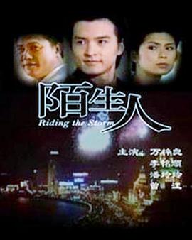 陌生人1999海报